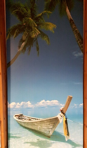 Palm Boot Bild