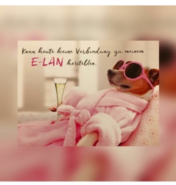 E lan